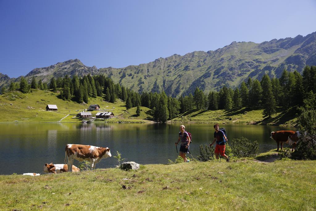 Ferienwohnung Gia Haus im Ennstal Buitenkant foto